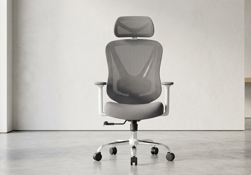 HOLLUDLE ergonomic office chair with V-back design and 3D lumbar support in white and grey